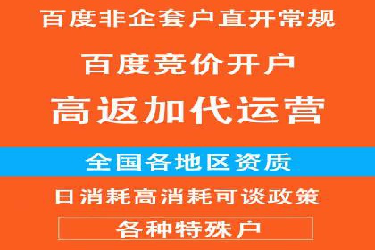 实战技巧：竞价推广案例解析与优化策略